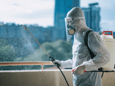 About PestControl Solutions - bed bug exterminator richmond va experts in Richmond
